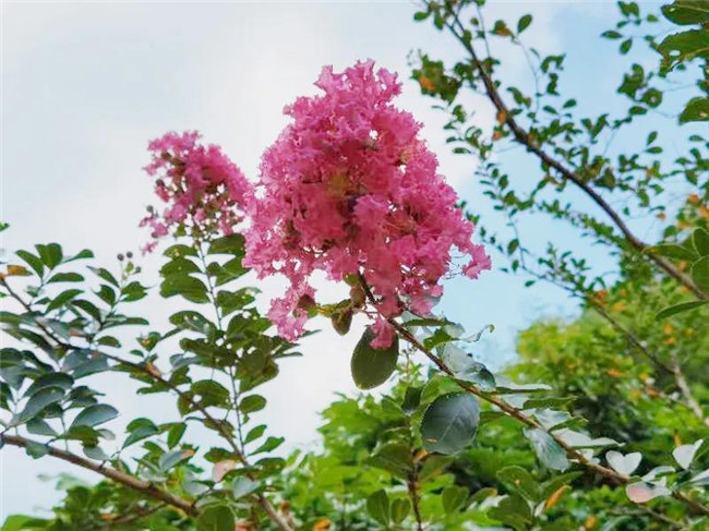 呼吸鮮氧，踐行公益&mdash;&mdash;廣東博皓公益活動：星溪線公益環保活動   -5