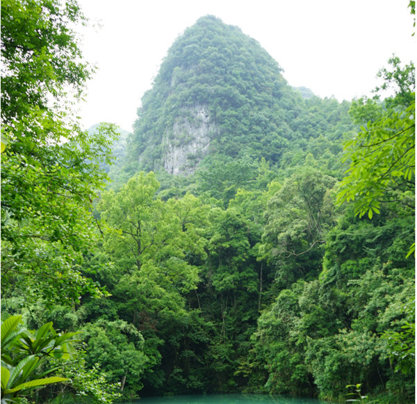 賞華夏大地，游多彩貴州-－2021年廣東博皓快樂(lè)行-2