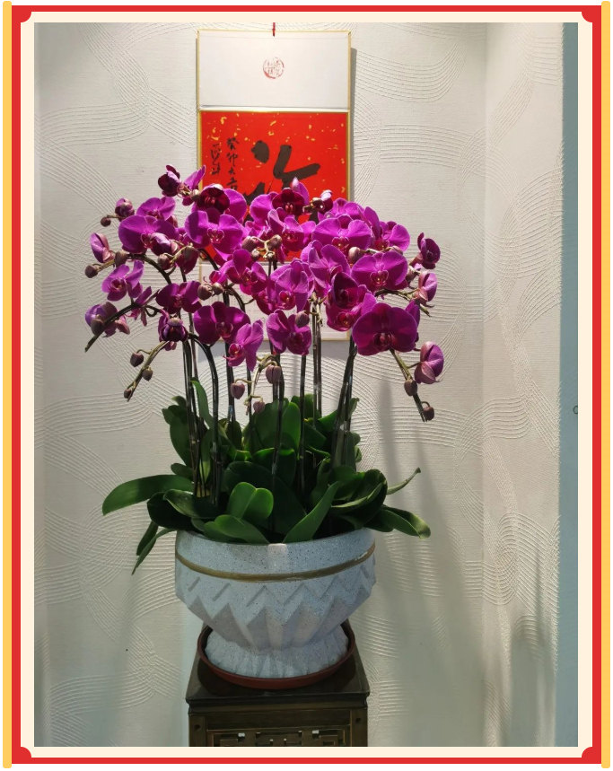 廣東博皓開工大吉丨金虎騰躍,兔來(lái)運(yùn)轉(zhuǎn) -23