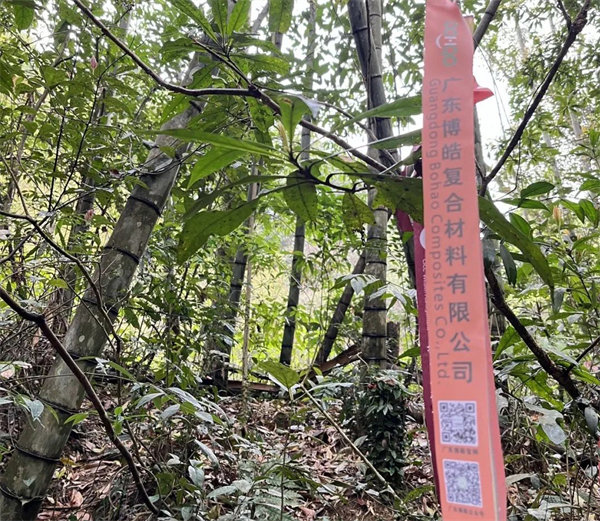 凝心聚力再出發(fā)，風(fēng)雨同舟赴星溪！--廣東博皓2024龍年首登星溪之旅     -2