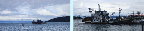 廿載風(fēng)云一路行，馬來(lái)風(fēng)情共見(jiàn)證&mdash;&mdash;2024廣東博皓馬來(lái)西亞之旅   -7