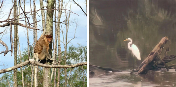 廿載風(fēng)云一路行,馬來(lái)風(fēng)情共見(jiàn)證——2024廣東博皓馬來(lái)西亞之旅 -13