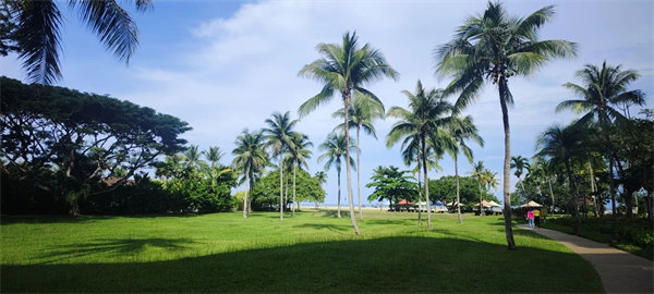 廿載風(fēng)云一路行，馬來(lái)風(fēng)情共見(jiàn)證&mdash;&mdash;2024廣東博皓馬來(lái)西亞之旅   -25