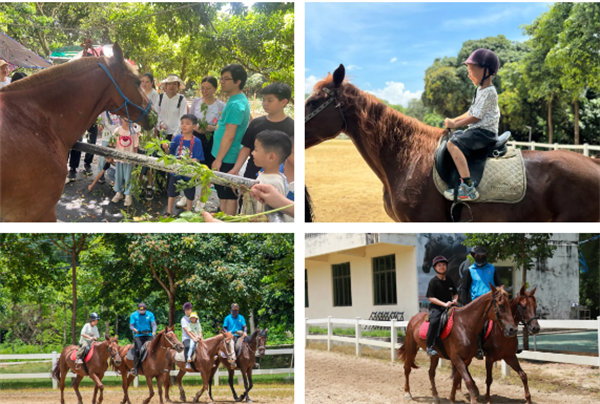 趣游盛夏，一路童行&mdash;2024年廣東博皓親子游   -10
