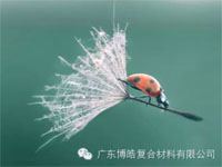 【博皓感悟】成功，要“借力”，不要“盡力”